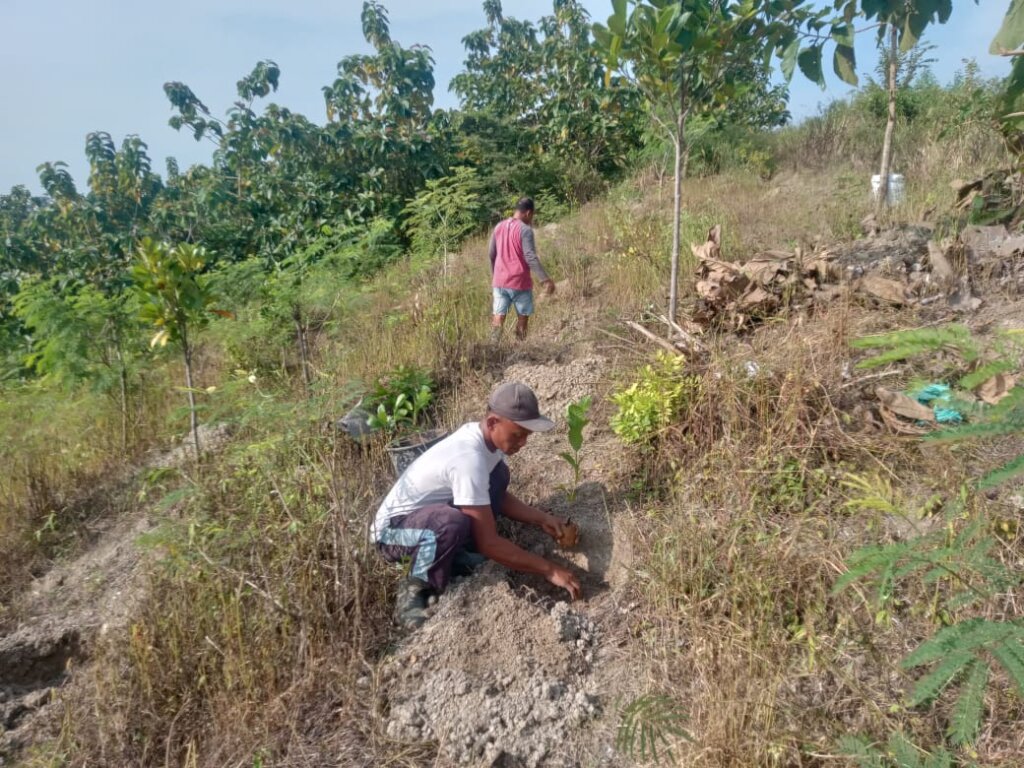 Seedlings for Forest Conservation in Indonesia