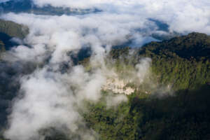 Dracula Reserve