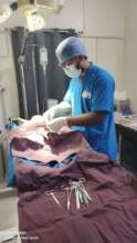Sterilization in Progress