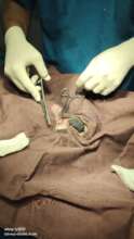Surgery in Progress