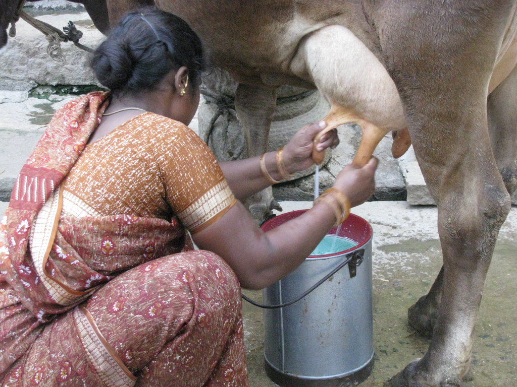 Organic Farming Training to 500 Farmers in India