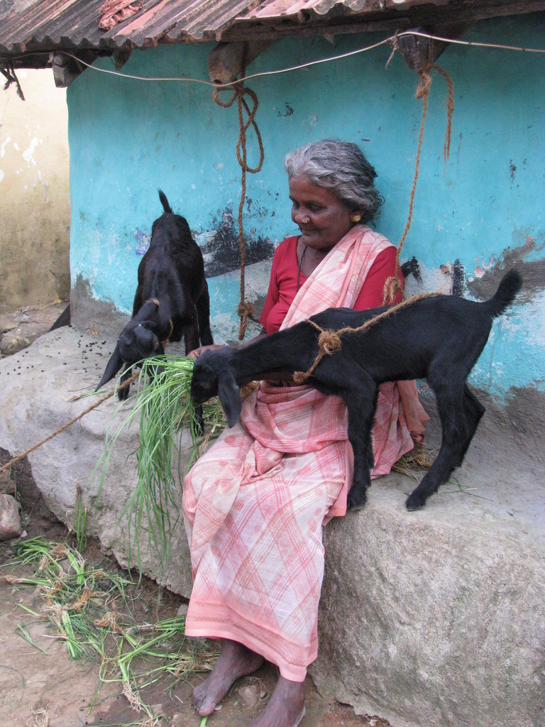 Organic Farming Training to 500 Farmers in India