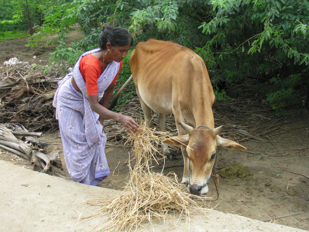 Organic Farming Training to 500 Farmers in India