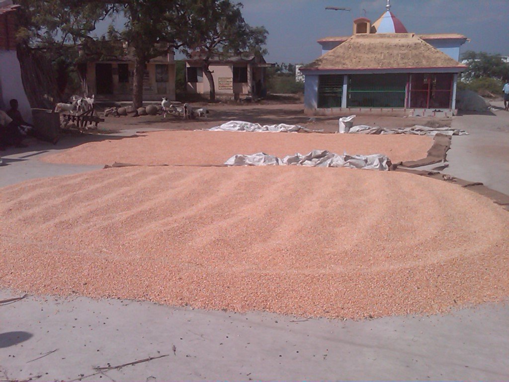 Organic Farming Training to 500 Farmers in India