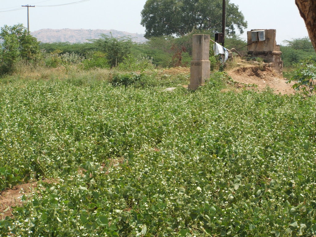 Organic Farming Training to 500 Farmers in India