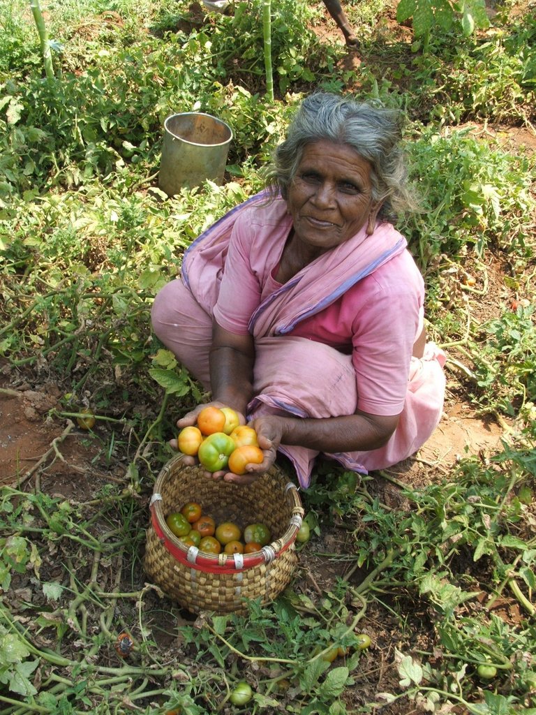 Organic Farming Training to 500 Farmers in India