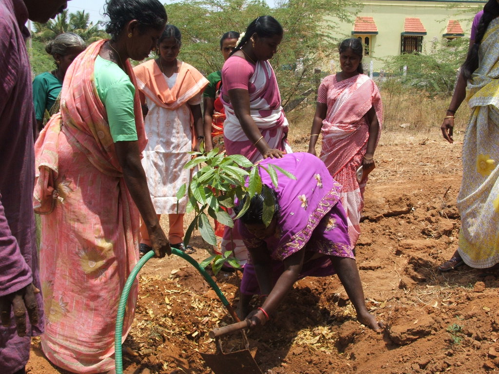 Organic Farming Training to 500 Farmers in India