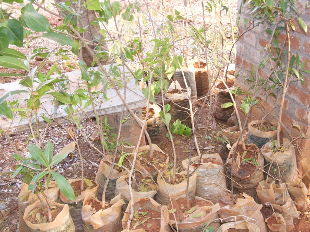 Organic Farming Training to 500 Farmers in India