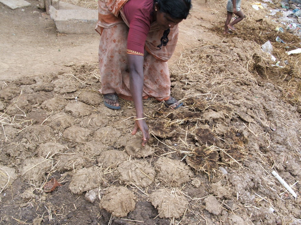Organic Farming Training to 500 Farmers in India