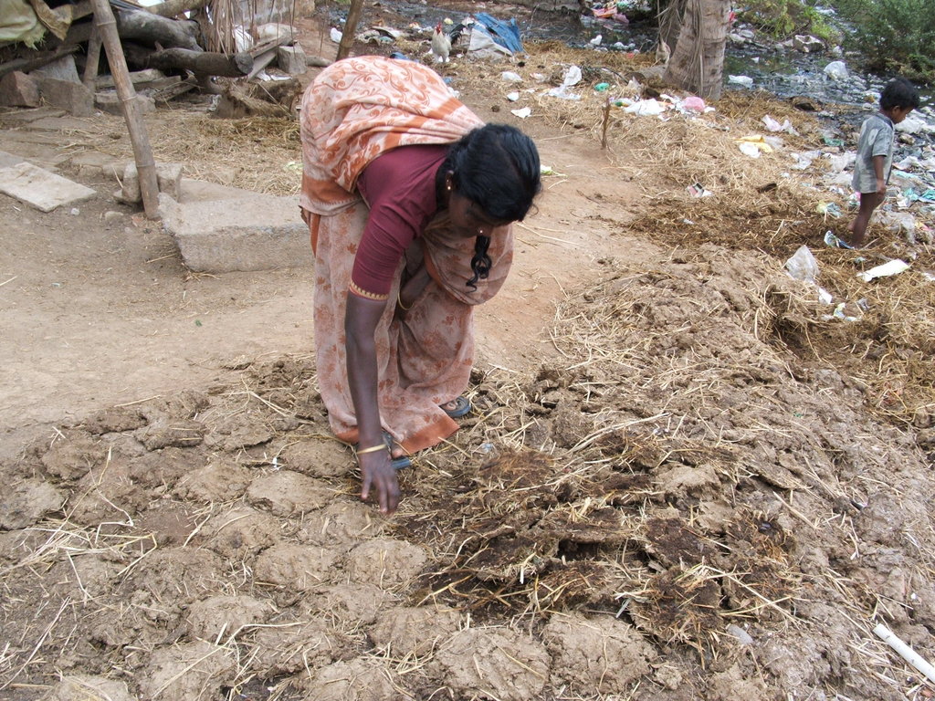 Organic Farming Training to 500 Farmers in India