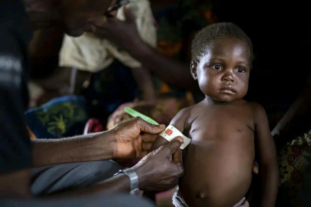 Deliver Healthcare Access in Walikale