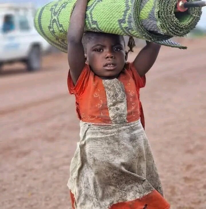 Build 50 Emergency Shelters in Walikale