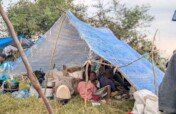 Build 50 Emergency Shelters in Walikale