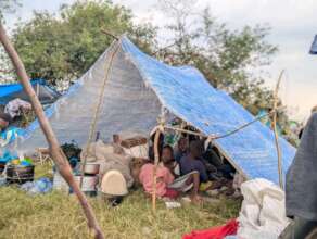Build 50 Emergency Shelters in Walikale