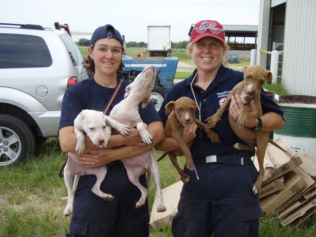 Japan Tsunami Animal Emergency Relief Program