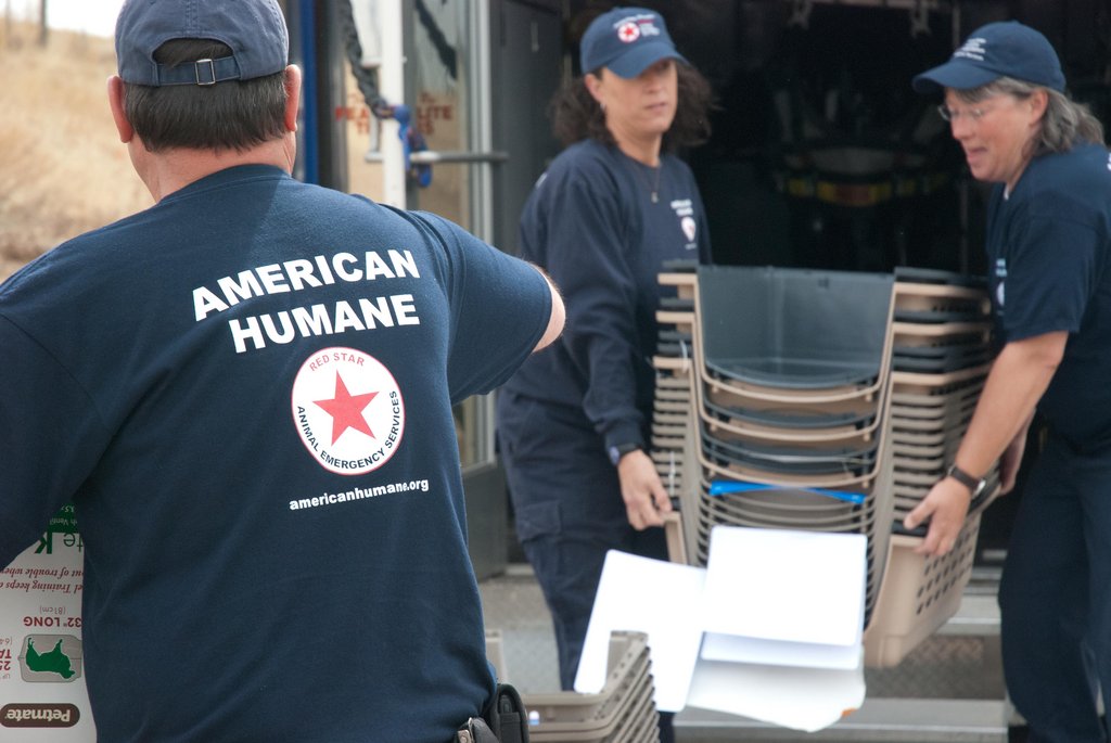 Japan Tsunami Animal Emergency Relief Program