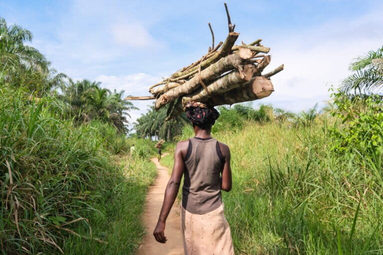 Planter of 500,000 trees in DRC damaged forests