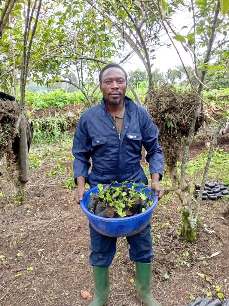 Planter of 500,000 trees in DRC damaged forests