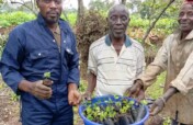 Planter of 500,000 trees in DRC damaged forests