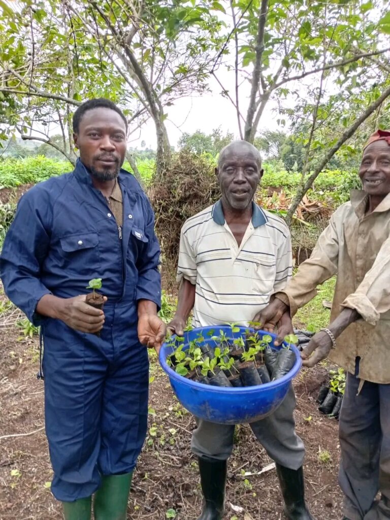 Planter of 500,000 trees in DRC damaged forests