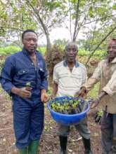 Planter of 500,000 trees in DRC damaged forests