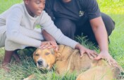 Animal Rescue & Rehabilitation Shelter