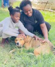 Animal Rescue & Rehabilitation Shelter