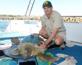 Rescuer Toby releasing a sea turtle