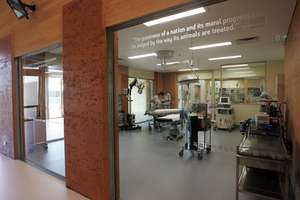 Australia Zoo Wildlife Hospital viewing area