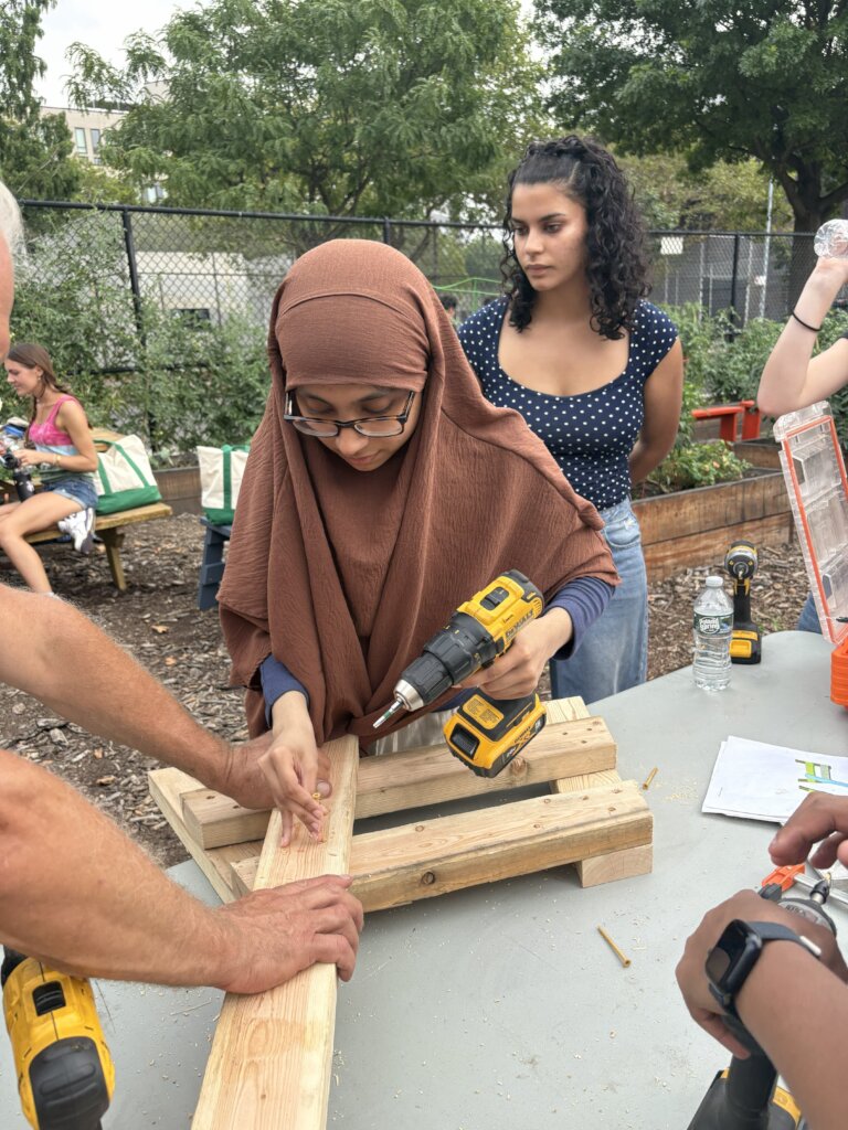 Youth Workforce Development