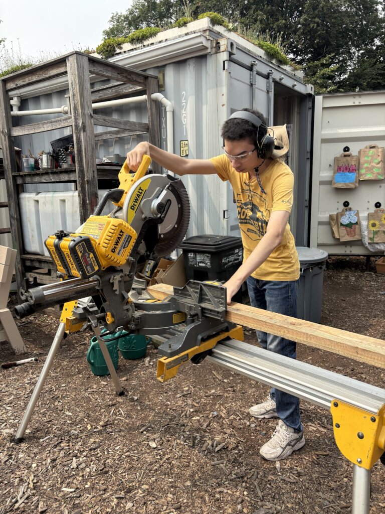 Youth Workforce Development