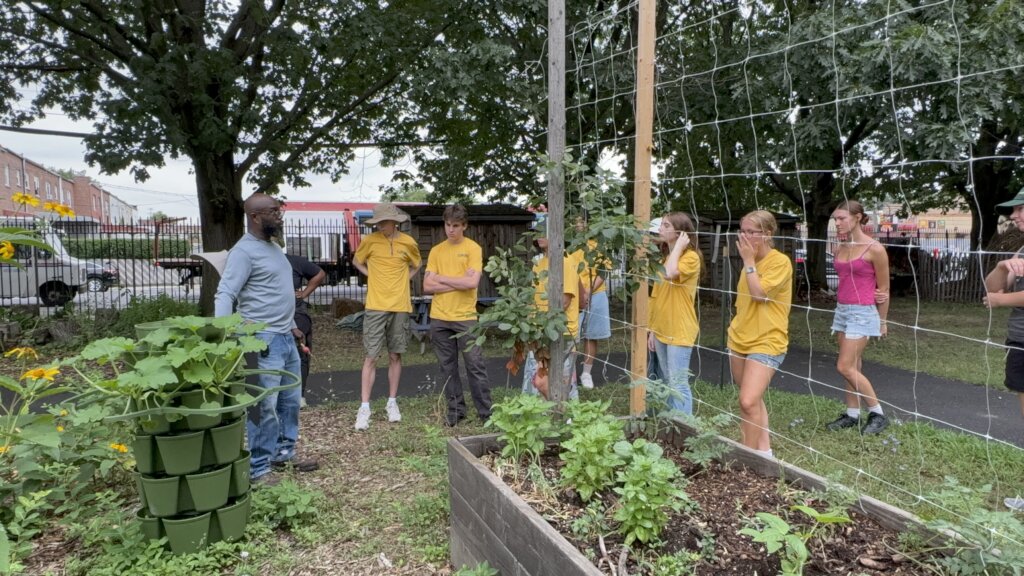 Youth Workforce Development