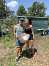 Urban Farm Harvest