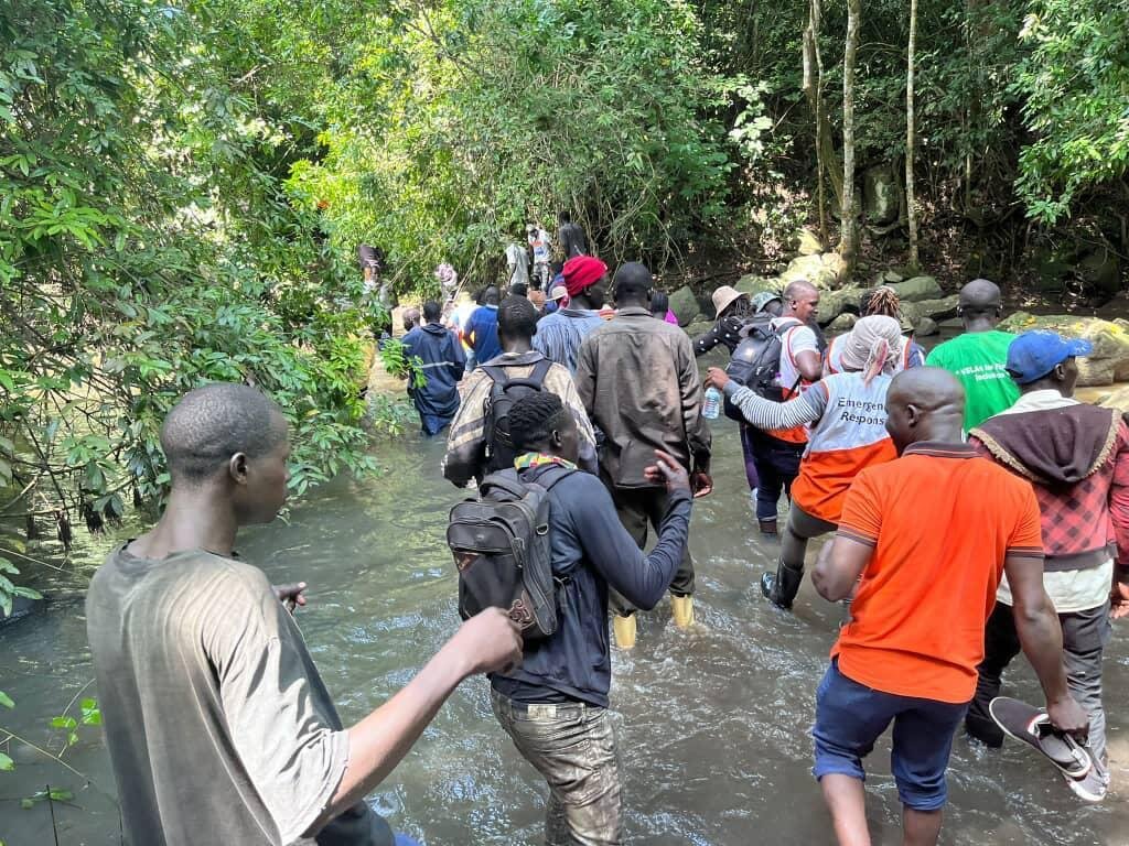 Save Zoka Tropical Rainforest Through Restoration