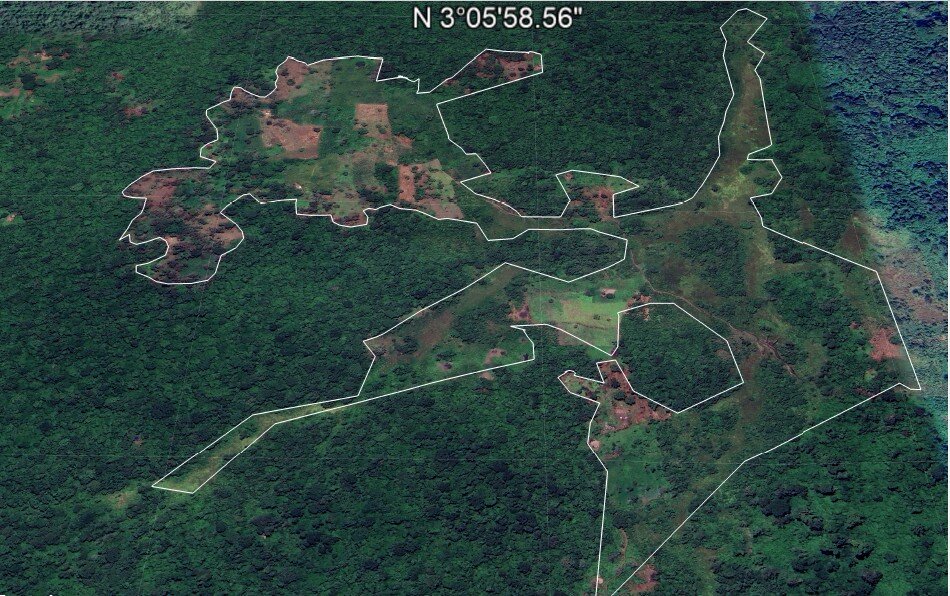 Save Zoka Tropical Rainforest Through Restoration