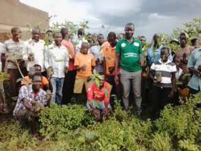 Save Zoka Tropical Rainforest Through Restoration