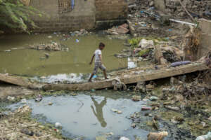 Families and Animals Share Unsafe Water