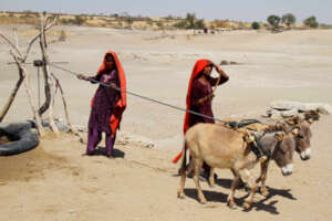 Women Draw Water from Deep Desert Wells