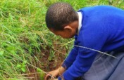 Children are Forest Guardians in Rural Tanzania
