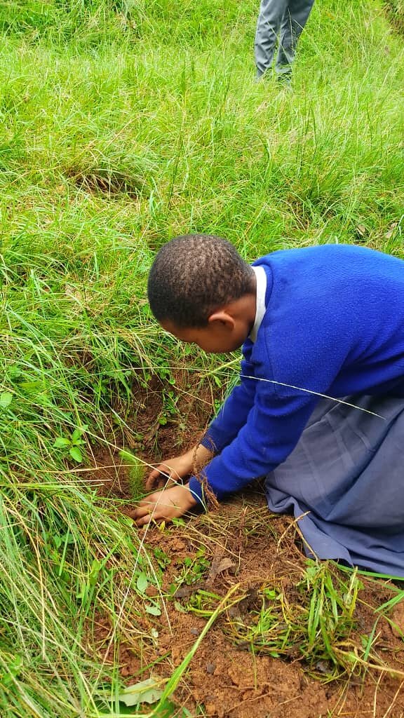 Children are Forest Guardians in Rural Tanzania