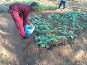 Help Schools Plant Fruits Trees in Tanzania