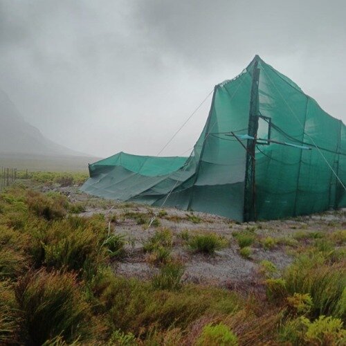 Kogelberg Storm Recovery Fund
