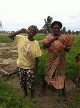 Clients Emelia George & Enyoman Hlordzi