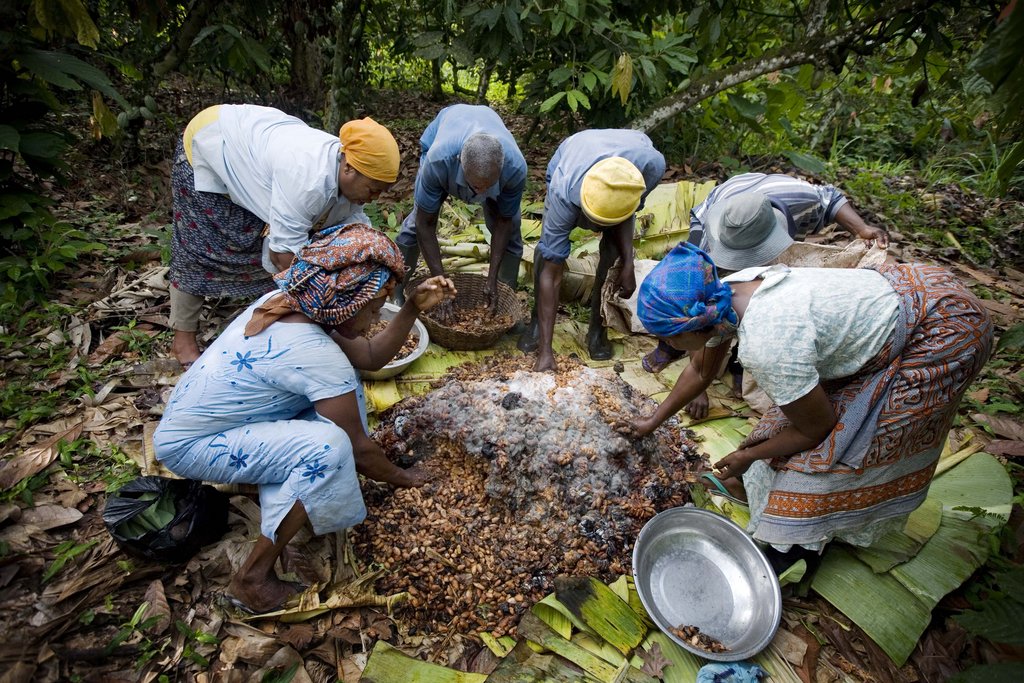 Help Fund Women Farmers in Ghana