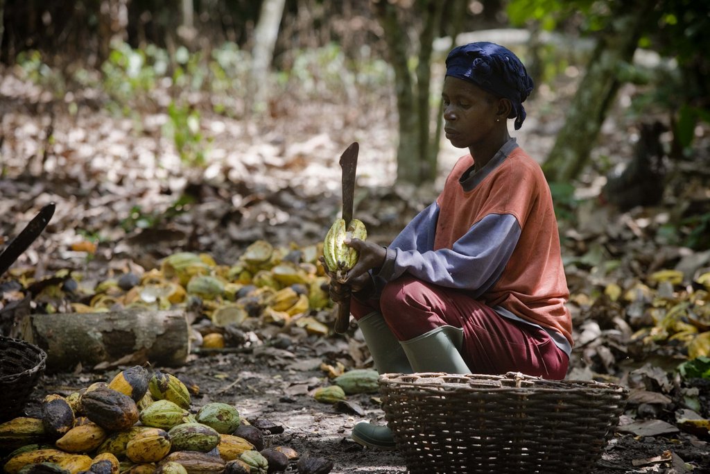 Help Fund Women Farmers in Ghana
