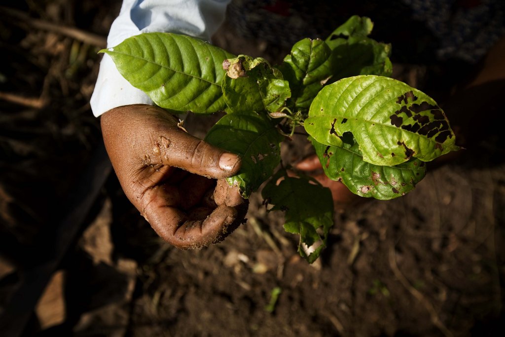 Help Fund Women Farmers in Ghana