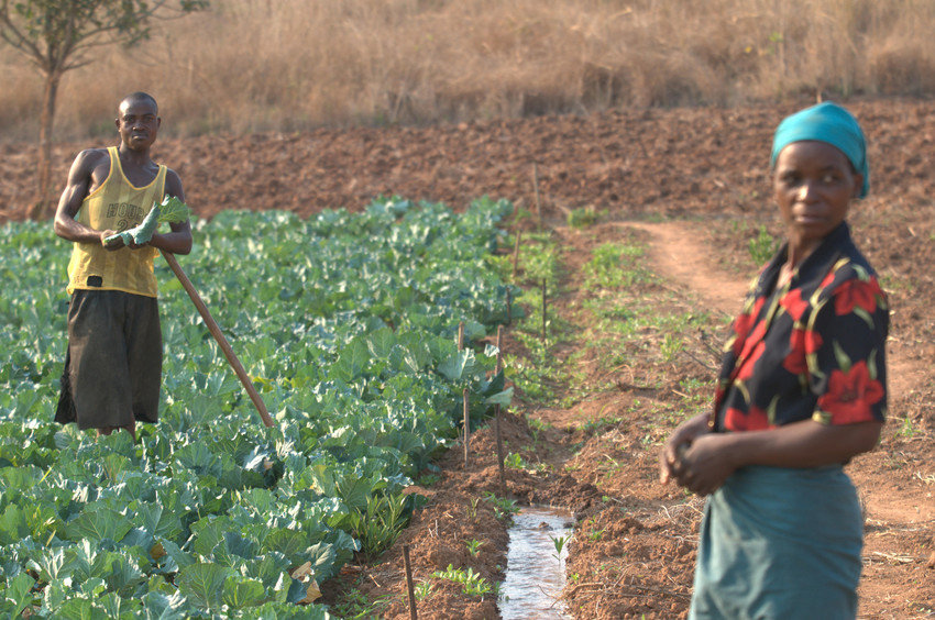 Help Expand Financial Services in Mozambique