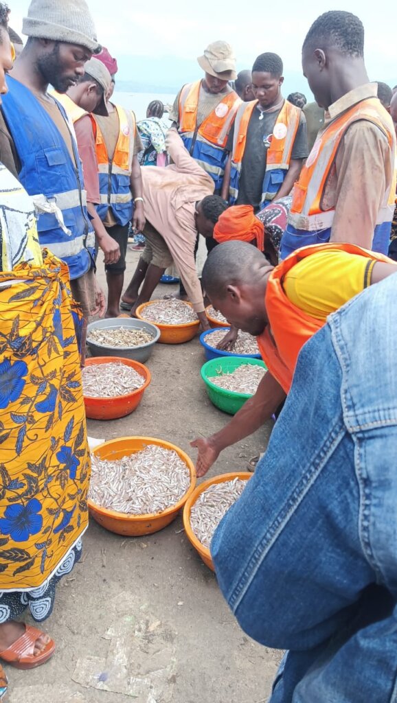 Restore Fishing Families in Lake Kivu