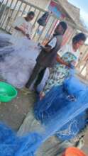 Restore Fishing Families in Lake Kivu