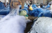 Restore Fishing Families in Lake Kivu